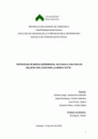 Portada local