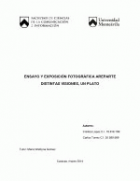 Portada local